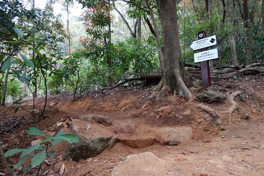 the new trailhead. the first official black diamond section in Hong Kong