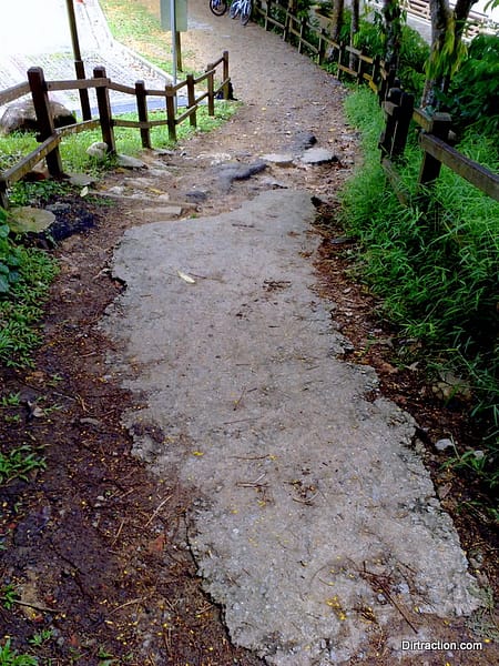 Bukit Timah Trail Head - before the rebuild